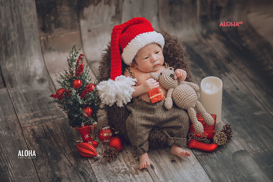 album ảnh giáng sinh newborn